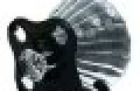 cKRdl9EUbNMhjv8D.jpg